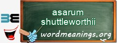 WordMeaning blackboard for asarum shuttleworthii